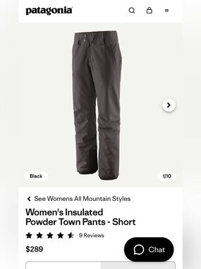 Patagonia Women's Ski pants Insulated Powder Town Pants - Short length, size L
